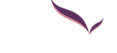 dentalroots - top dentist in India