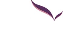 dentalroots - top dentist in India